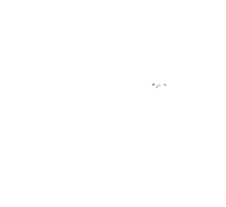 logo 08